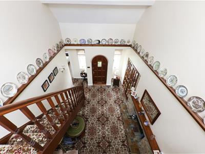 Picture 14